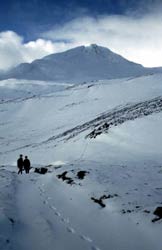 Randonnée hivernale facile dans le Glen Affric