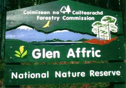 Escocia, cerca de Shenval B&B, Glen Affric Reserva Natural Nacional 